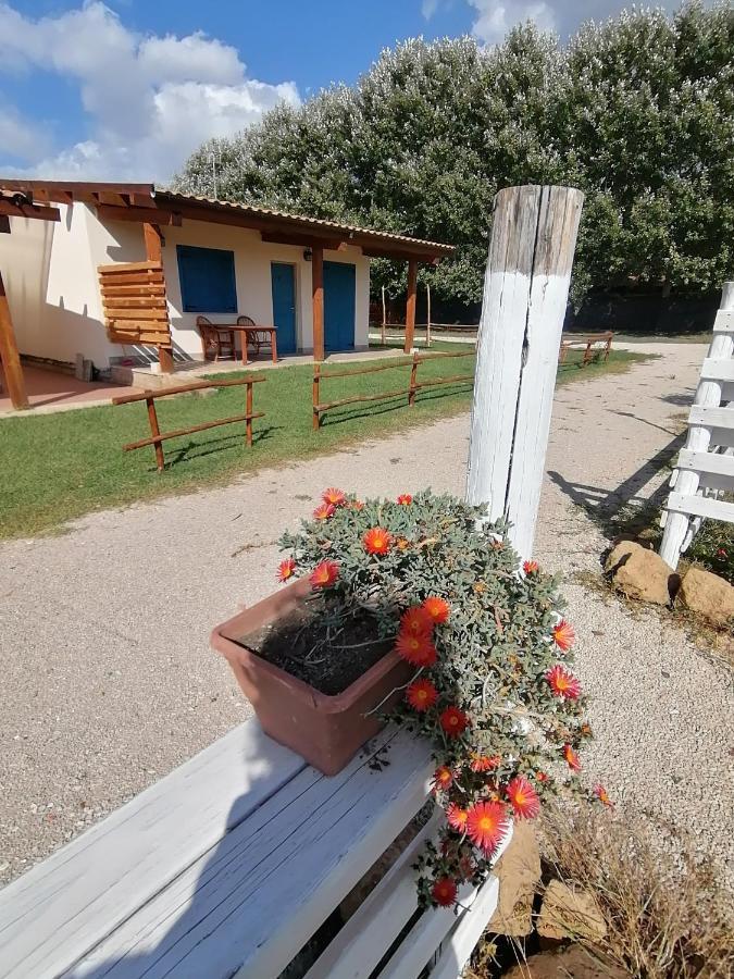 Agriturismo Oca Giuliva Lido dei Pini Εξωτερικό φωτογραφία